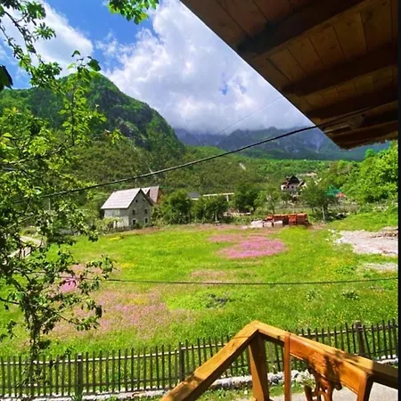 Guest house Mikel Center