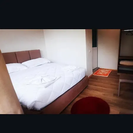 Mikel Center ゲストハウス