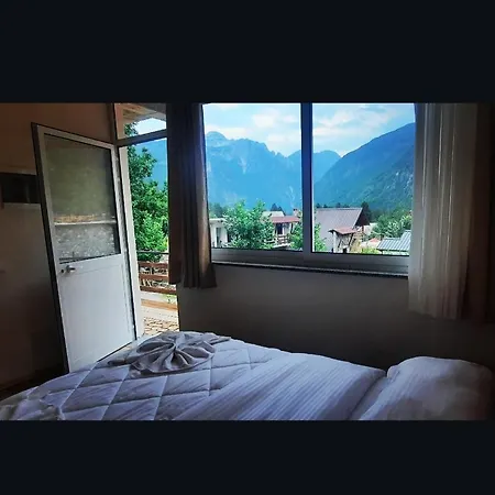 Mikel Center ゲストハウス 3*