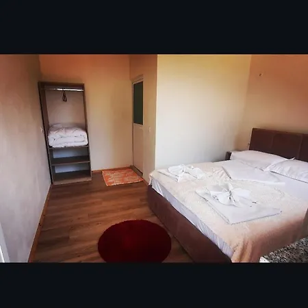 Mikel Center 3* 세스