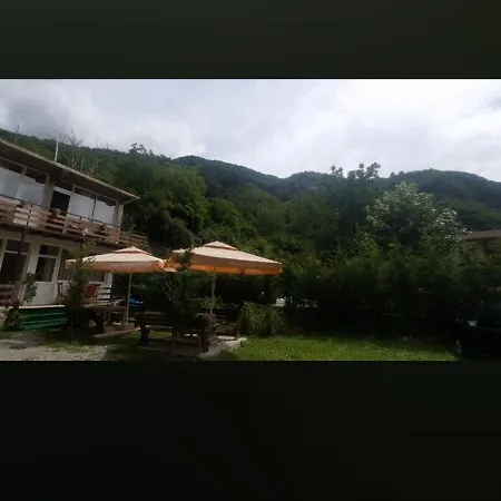 Mikel Center 게스트하우스 세스