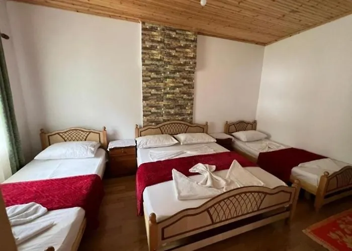 Mikel Center 3* טת