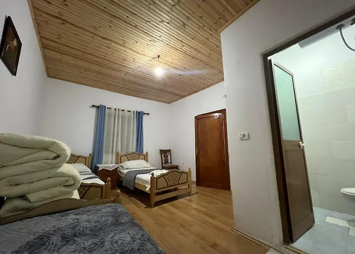 Mikel Center 3*
