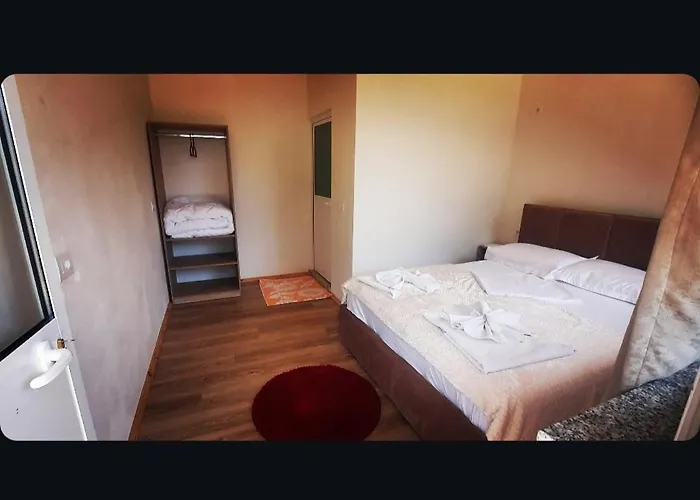 Mikel Center 3* טת